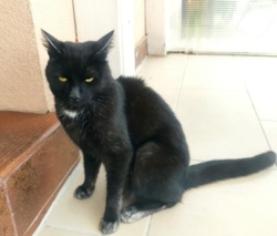 69199c88-3a35-4211-be9a-aa4778507382