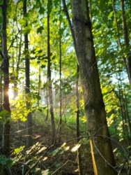 22b35839-3be2-42d0-a094-c7a5c0c9349e