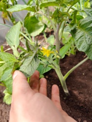 32a09ace-dfea-4279-9842-c3cb37516461