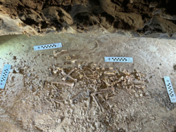 c03b0d4d-ad9c-420b-b361-ea0c3f49f0ec