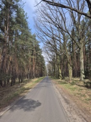 6db5907c-cf24-4c7d-bbd6-2f502f64af5b