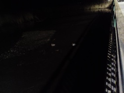 50a5a48a-38e5-422b-9cca-7b4fe89dfb7a