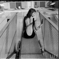 f743e9d7-a7cf-455b-b25b-00db3181adfc