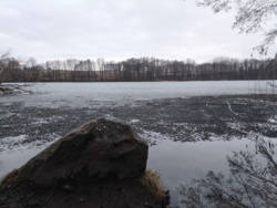 8955987d-712b-4041-b9ff-327879708a08