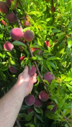 c2bacf32-c6b8-460b-948b-b7e093e19777