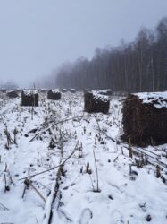 faef8c8c-1670-40e6-b769-632637ecea6a