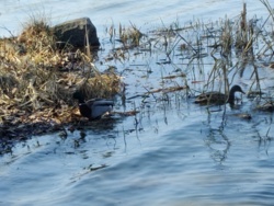 304b0bbe-37ca-48cc-9960-9ac94464e940