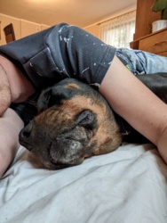 f1012de2-e162-435d-aa28-6e7c85264288