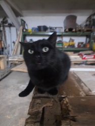 2a03a882-d611-45bb-8fbc-92b685c35ac2