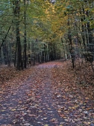 03c9a890-77ad-4cee-be86-bf5b0d0f6332