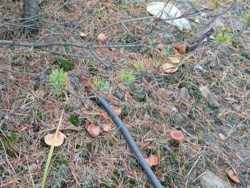 a1d81c21-5451-42f5-8497-ca6f92f38b85