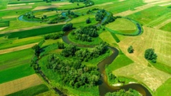 Świętokrzyskie/ Renaturyzacja delty Nidy przywróciła naturalne siedliska i rzadkie gatunki