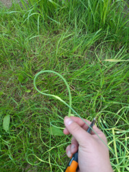 d6b88671-7199-4a17-9f0d-50c9ebff2778