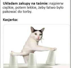 c818c05f-31d8-4adf-89f6-b04df783c14d