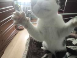 4dfff99a-5999-4f6b-8999-2ec39a405460