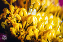 42d37085-0108-4648-97bb-c5cfe26a624c