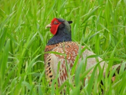 16b21998-fb78-4107-acbd-9745e272bbc8