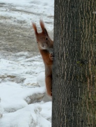 3287bc8d-6625-45ec-a3d6-6070e41b80da