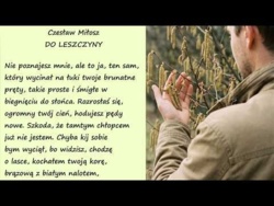 Do Leszczyny Czesław Miłosz Poezje Wiersze | Poezja Dla Duszy