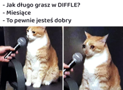 54a4f7e1-0132-469a-bc41-b543894548aa