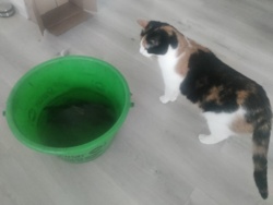 3f0c9604-0b80-4332-a226-40719a53e82b