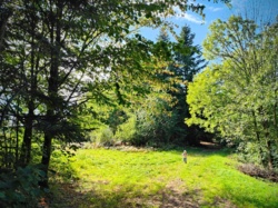 0ec37f73-5440-4382-88b6-7d38488a1700