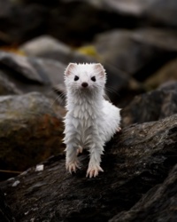 18bd3d6e-e257-47c7-b1b5-b8acdebe34df