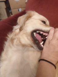 2a4cc79c-a612-42e3-8cbf-9df3708cca0b