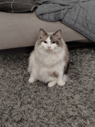 d02aef5d-f7d2-4972-bc8a-5ffbb62beb43