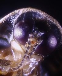 7e8cf342-40d3-4139-9d7d-3655f4b617c7