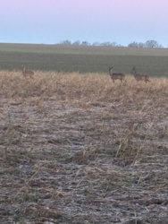 8c8770f7-482f-45d5-8519-2591fc907077