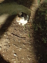 1eedcde1-1329-4f75-813f-5515b2731144