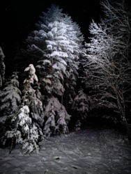 fa930d9d-c5e2-4940-b275-87e1a0aada72