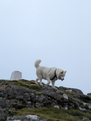 bffc1605-c353-498c-81f1-ab757cd43736