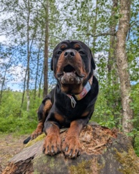 1d6e7e71-f486-429e-9588-ebb0486678ce