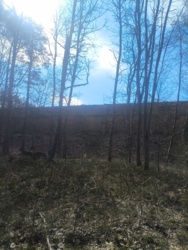 34494d9c-6243-4904-a351-85a030719947