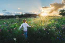 a28666e2-6cd9-410a-8dbd-c220fd0e32b9