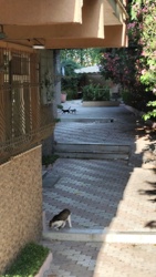 8eb03808-28fb-48cc-a887-404c91c59616