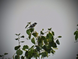 331d1671-cfb8-4980-bc8d-e5029ecb40a2