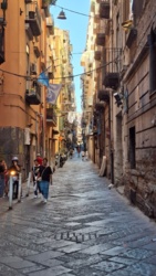 0501dfcf-319e-4aa2-83ab-b3349c7e9eb8