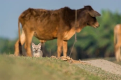 aebe8f9e-244a-4a24-8827-a5e06d07ebea