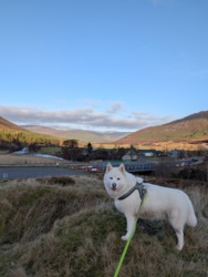 35958820-3c33-4f75-adfa-5fb7e79da1c8