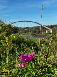 ab75b802-8178-473e-a621-44b0f5581fa2