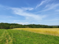 e95e0281-65d2-4123-9acb-5b6ac429a006