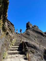 35038437-9a7f-4257-a0bf-d998eaf16d6f