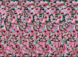 dc8b9573-d56e-467d-909c-2ee8172063d2