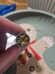 725c8c81-be4b-48ea-8e9b-b54f5ca5576b