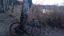 99579f13-bd69-4ef1-9043-56f46477469b