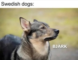 46cc975a-d8e8-4a62-9fd8-44515976c43f