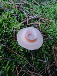 7b896705-3020-45b0-b421-5e7c488a3906